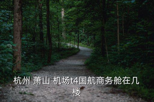 杭州 萧山 机场t4国航商务舱在几楼
