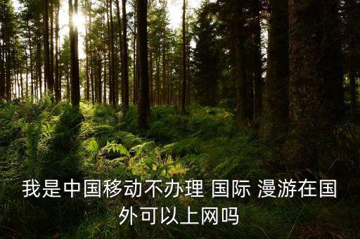 国际漫游 wifi 大连,出国用wifi还需要开通国际漫游吗