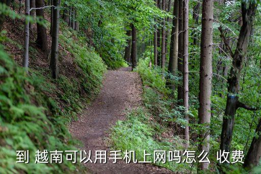 到 越南可以用手机上网吗怎么 收费