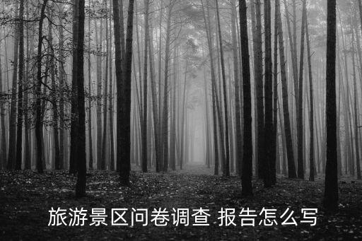  旅游景区问卷调查 报告怎么写