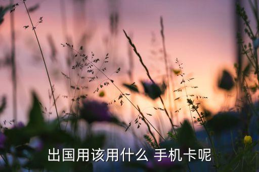 在国外能用的手机卡,tiktok需要国外手机卡吗