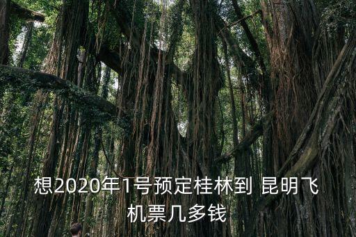 想2020年1号预定桂林到 昆明飞机票几多钱
