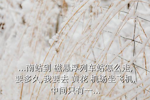...南站到 磁悬浮列车站怎么走,要多久,我要去 黄花 机场坐飞机,中间只有一...