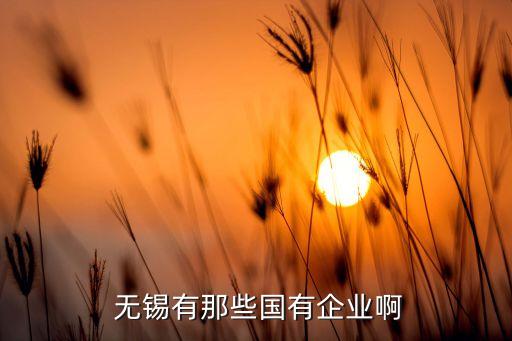  无锡有那些国有企业啊