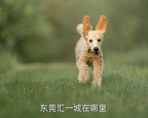 东莞汇一城在哪里