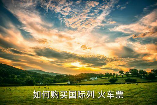 如何购买国际列 火车票