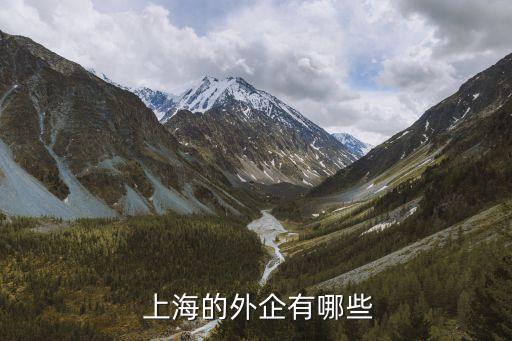  上海的外企有哪些