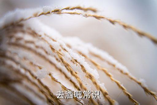 去酒吧常识