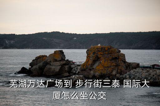 芜湖万达广场到 步行街三泰 国际大厦怎么坐公交