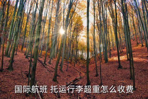 国际航班 托运行李超重怎么收费