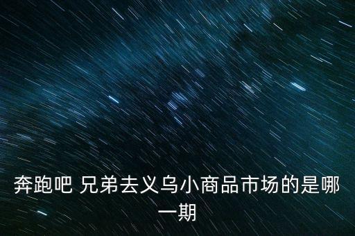 奔跑吧 兄弟去义乌小商品市场的是哪一期