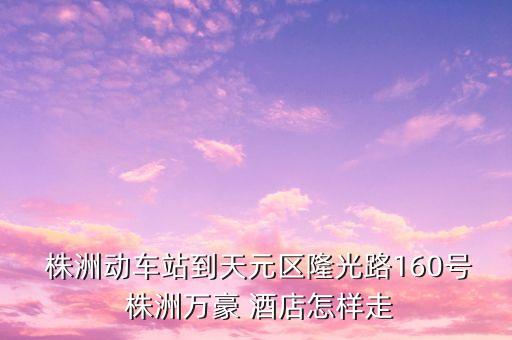  株洲动车站到天元区隆光路160号 株洲万豪 酒店怎样走
