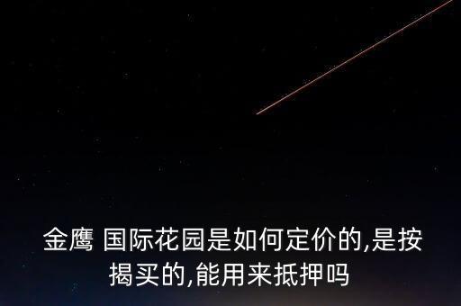  金鹰 国际花园是如何定价的,是按揭买的,能用来抵押吗