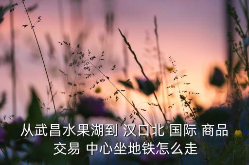 汉口国际商品交易中心,汉口北国际商品交易中心品牌服装城
