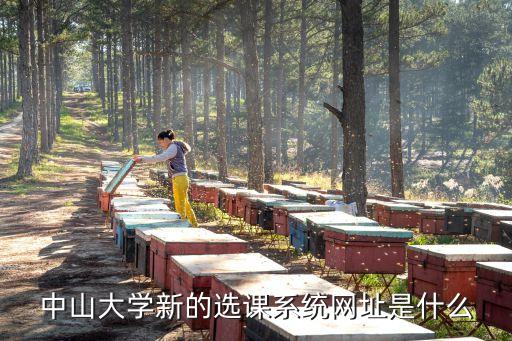 中大国际登录地址,西安中大国际地址在哪里