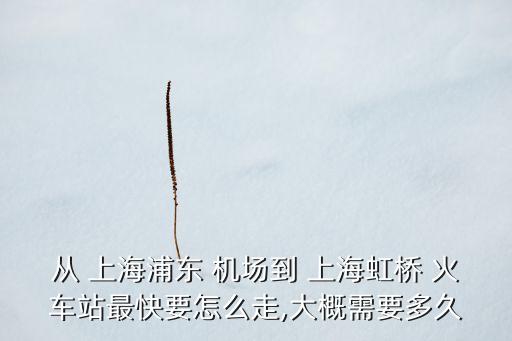 从 上海浦东 机场到 上海虹桥 火车站最快要怎么走,大概需要多久