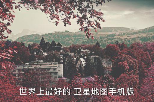 国外 小街区 卫星图
