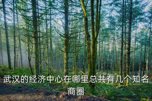 武汉的经济中心在哪里总共有几个知名商圈