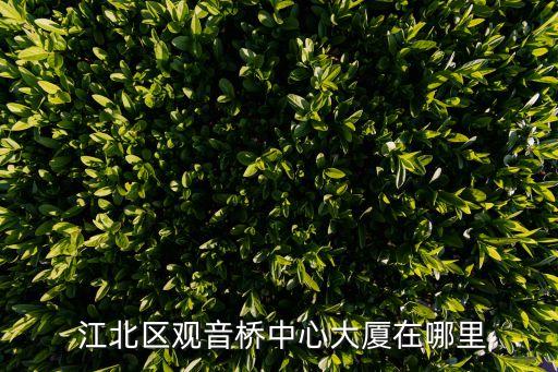  江北区观音桥中心大厦在哪里