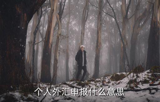个人外汇申报什么意思