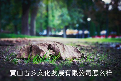 黄山滨江国际的地址,齐齐哈尔滨江国际地址