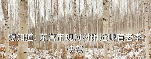 想知道: 东营市现河村附近哪有老李快餐
