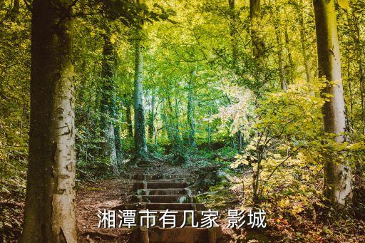 湘潭市有几家 影城