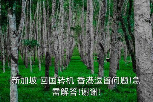 新加坡 回国转机 香港逗留问题!急需解答!谢谢!