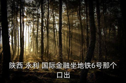 永利国际地图