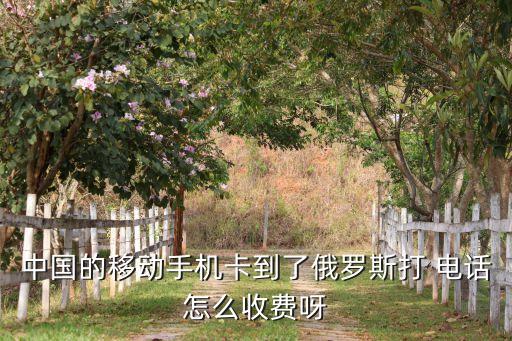 中国的移动手机卡到了俄罗斯打 电话怎么收费呀