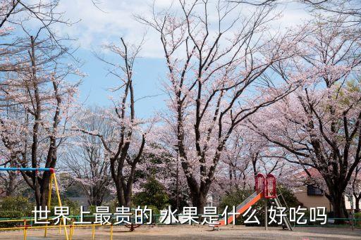 世界上最贵的 水果是什么 好吃吗