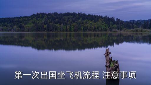 第一次出国坐飞机流程 注意事项