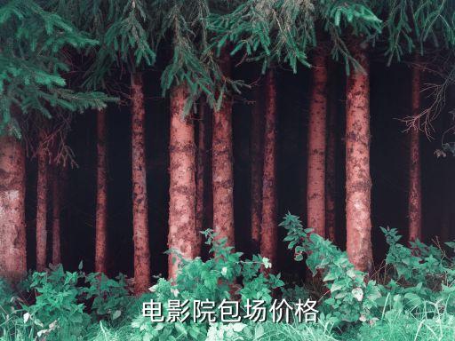 广安中天国际电影院 团购