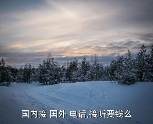 国内接 国外 电话,接听要钱么