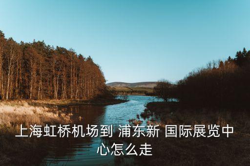 上海虹桥机场到 浦东新 国际展览中心怎么走