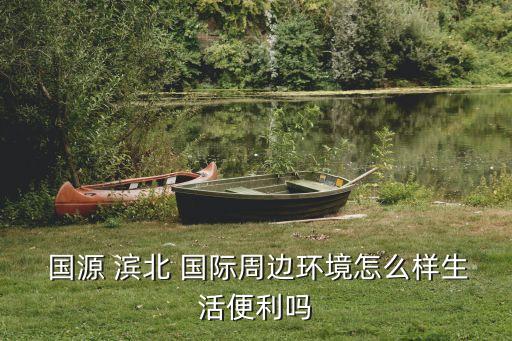  国源 滨北 国际周边环境怎么样生活便利吗