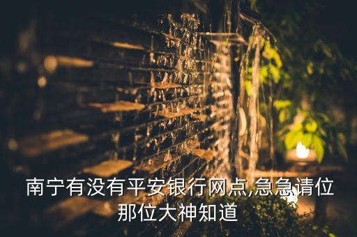  南宁有没有平安银行网点,急急请位那位大神知道
