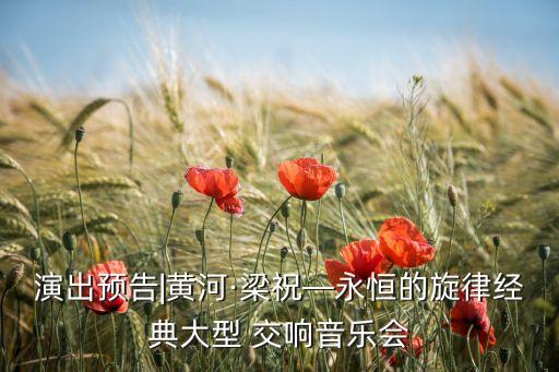 国外车站中国交响