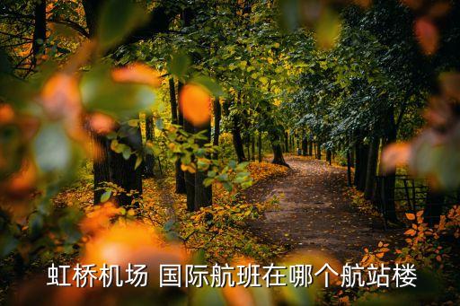  虹桥机场 国际航班在哪个航站楼