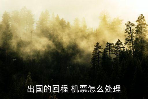 出国的回程 机票怎么处理