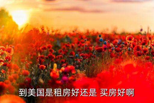 到美国是租房好还是 买房好啊