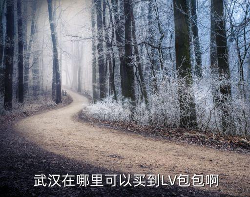 武汉国际广场lv店价格表,lv武汉国际广场店电话