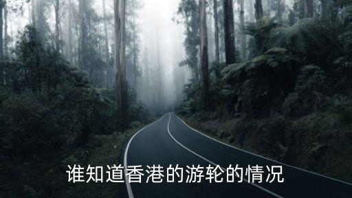 谁知道香港的游轮的情况