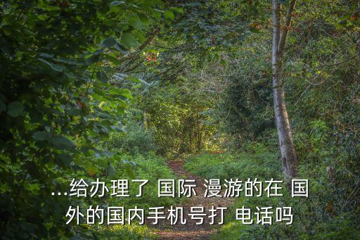 ...给办理了 国际 漫游的在 国外的国内手机号打 电话吗