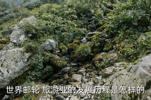 求国外旅游发展史,旅游发展史思维导图
