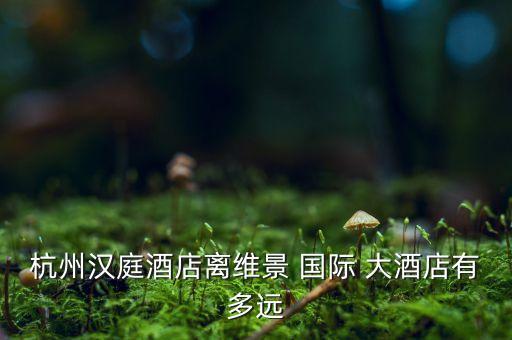 杭州汉庭酒店离维景 国际 大酒店有多远