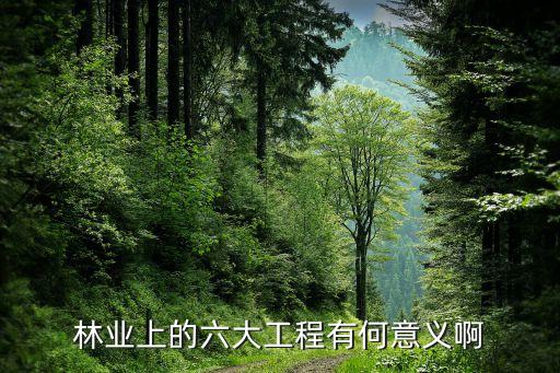 林业上的六大工程有何意义啊
