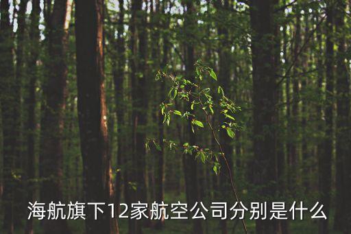 海航哪个基地国际多,海航北京基地在哪个机场