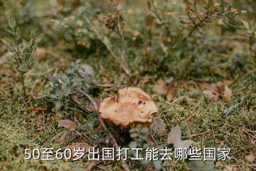 50至60岁出国打工能去哪些国家