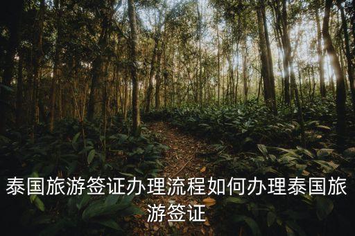 泰国旅游签，去泰国怎么签证